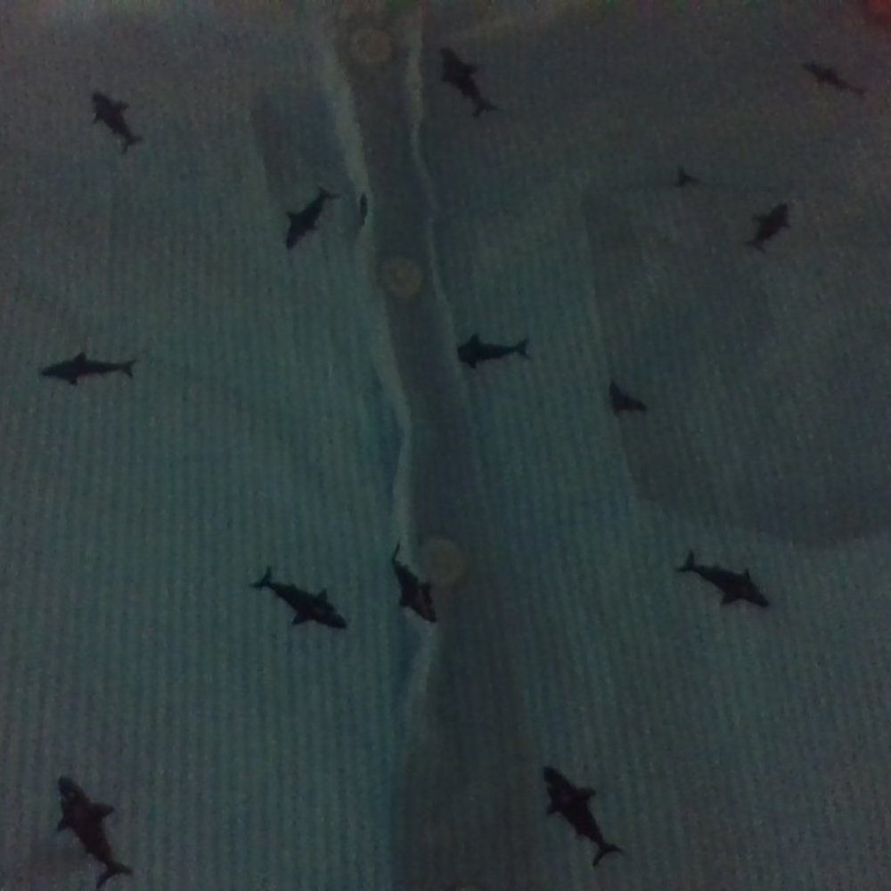 Buttoned Tshirt - Picture 6 of 6